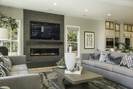 THE SMART ROOM – ONE ROOM SOLUTION